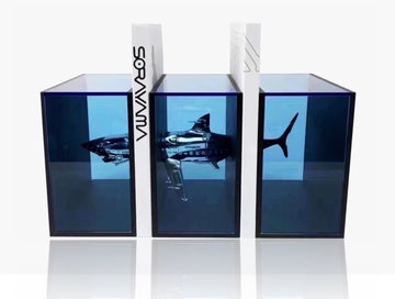Shark Bookshelf, 2021