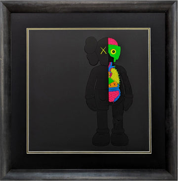 Dissected Companion (Black), 2005