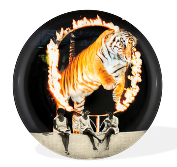 The Best Passage (2019), 2025