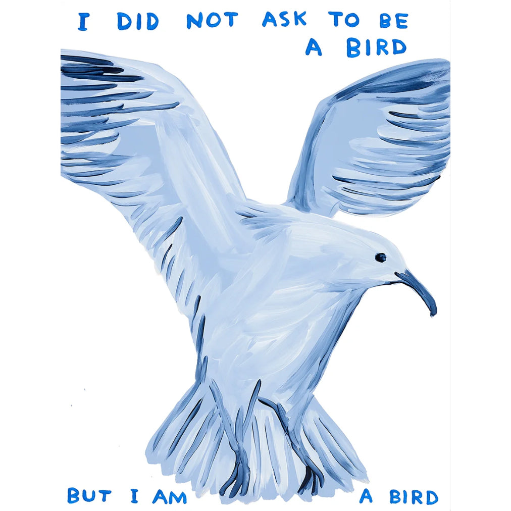 I Did Not Ask To Be a Bird, 2021