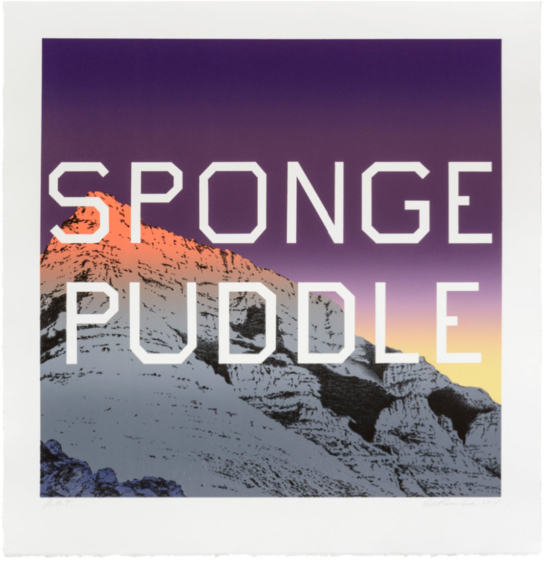 Sponge Puddle, 2015