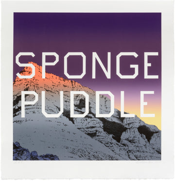 Sponge Puddle, 2015